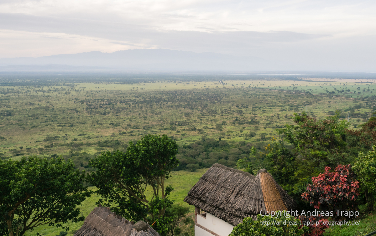Blick über den afrikanischen Grabenbruch auf die Ruwenzori-Berge